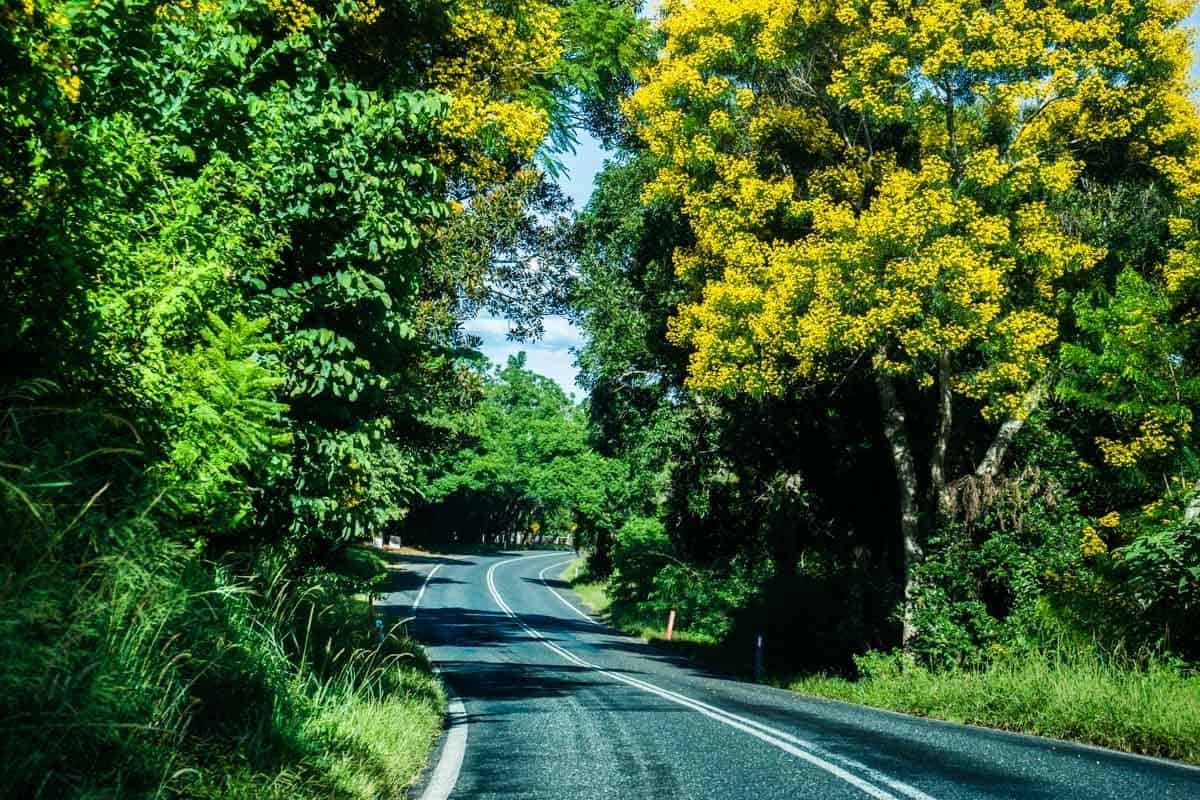 Winding Road New South Wales Road Trip