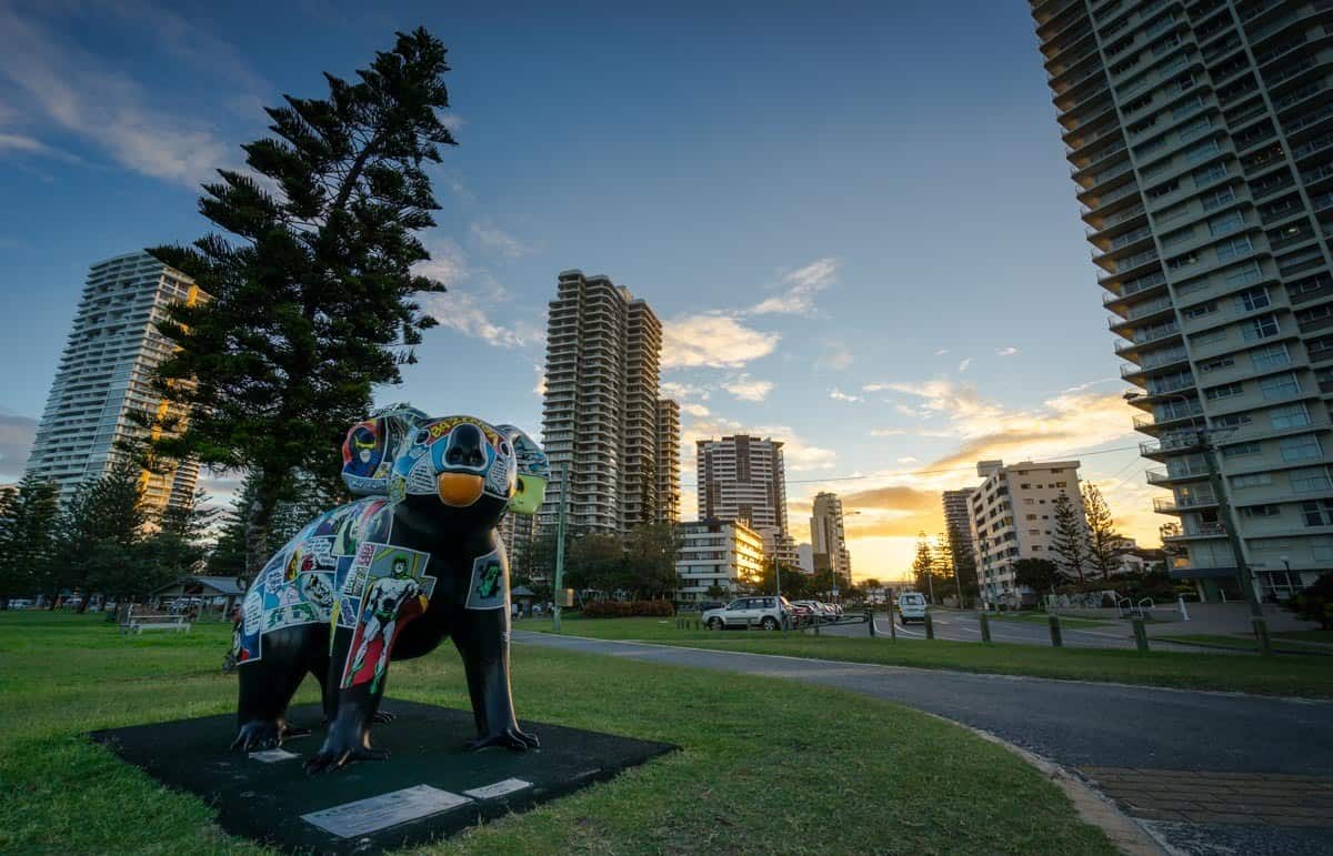 Wombat Gold Coast New South Wales Road Trip