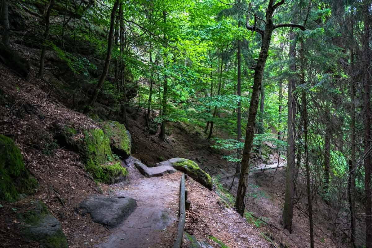 Trails Hiking Bohemian Switzerland National Park