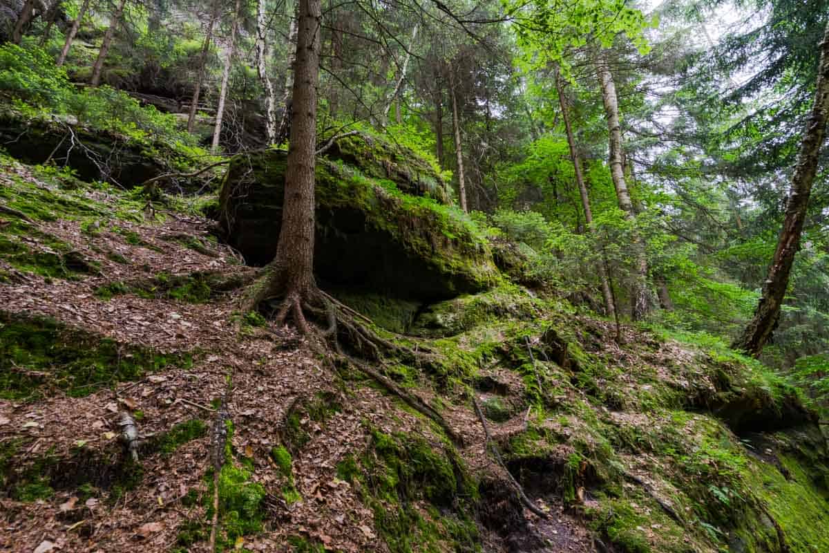 Hiking Bohemian Switzerland National Park