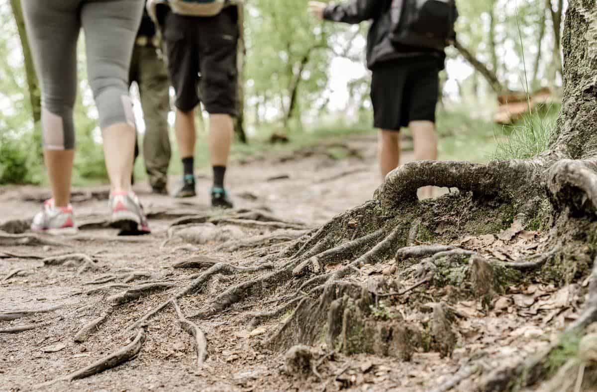 Hiking Bohemian Switzerland National Park