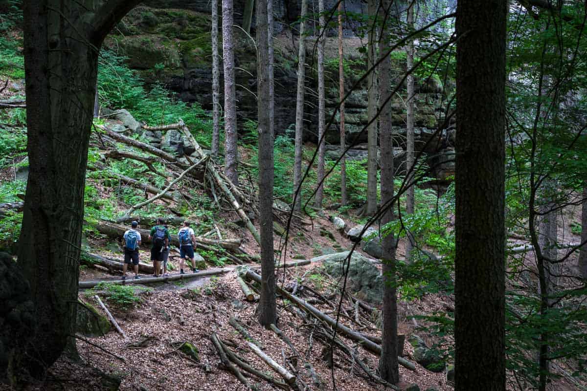 One of the best things to practise inwards Czechia is to larn Hiking inwards Bohemian Switzerland National Park (2019 Guide)