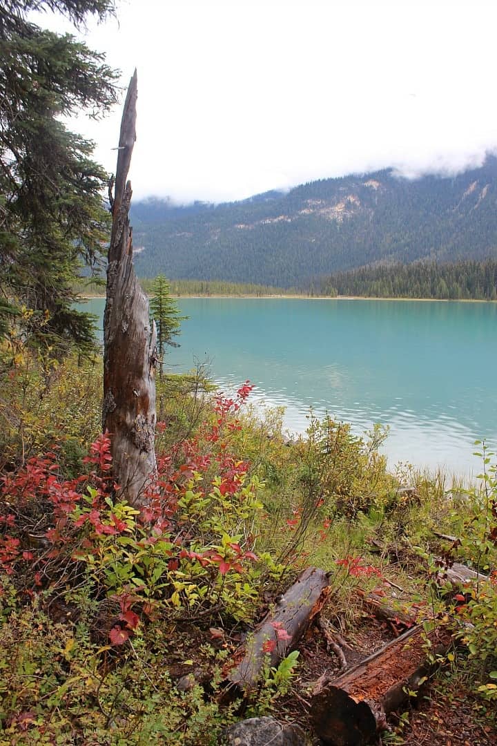 Emerald Lake Hiking Yoho National Park