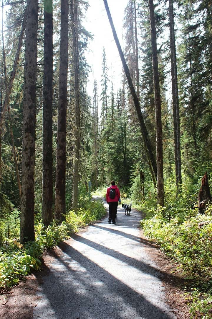 Kicking Horse River inwards Yoho National Park The Ultimate Guide to Yoho National Park inwards Canada