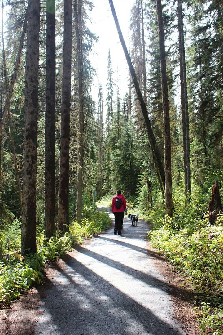 Hiking Trails Yoho National Park