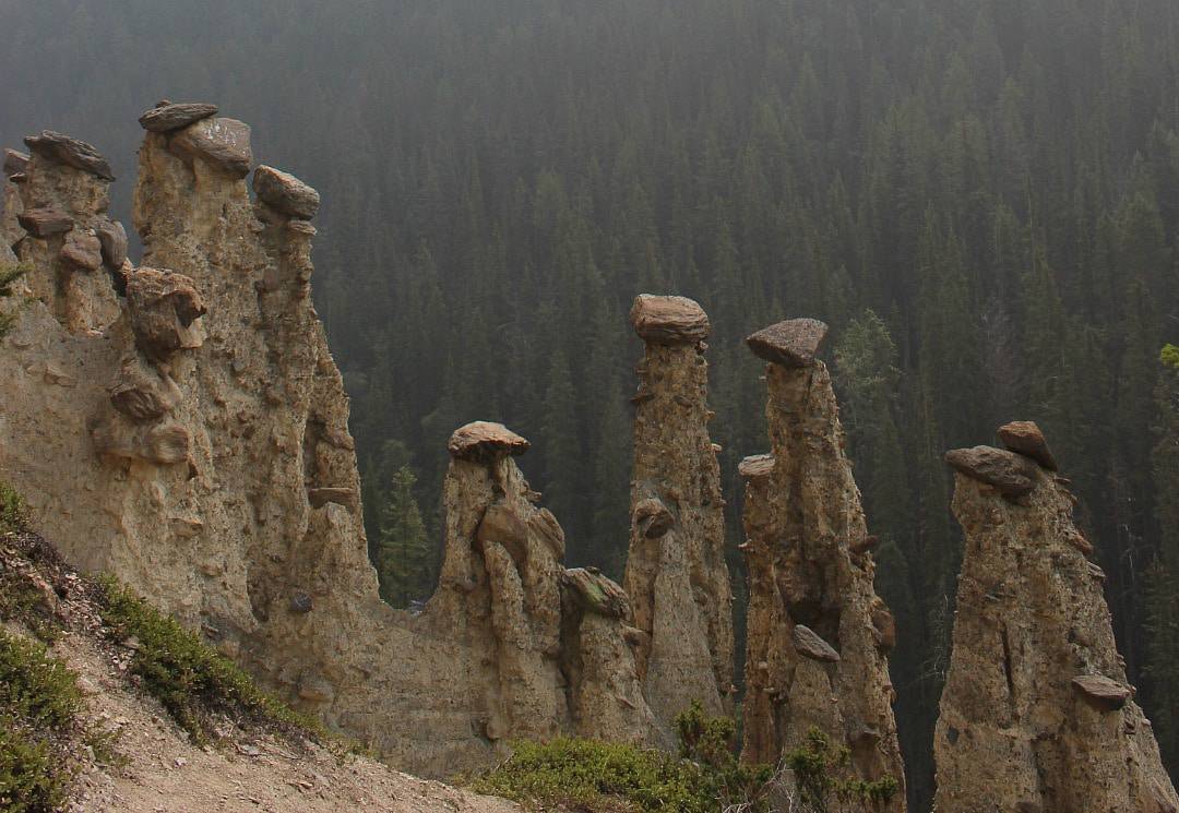 Hoodoos Yoho National Park