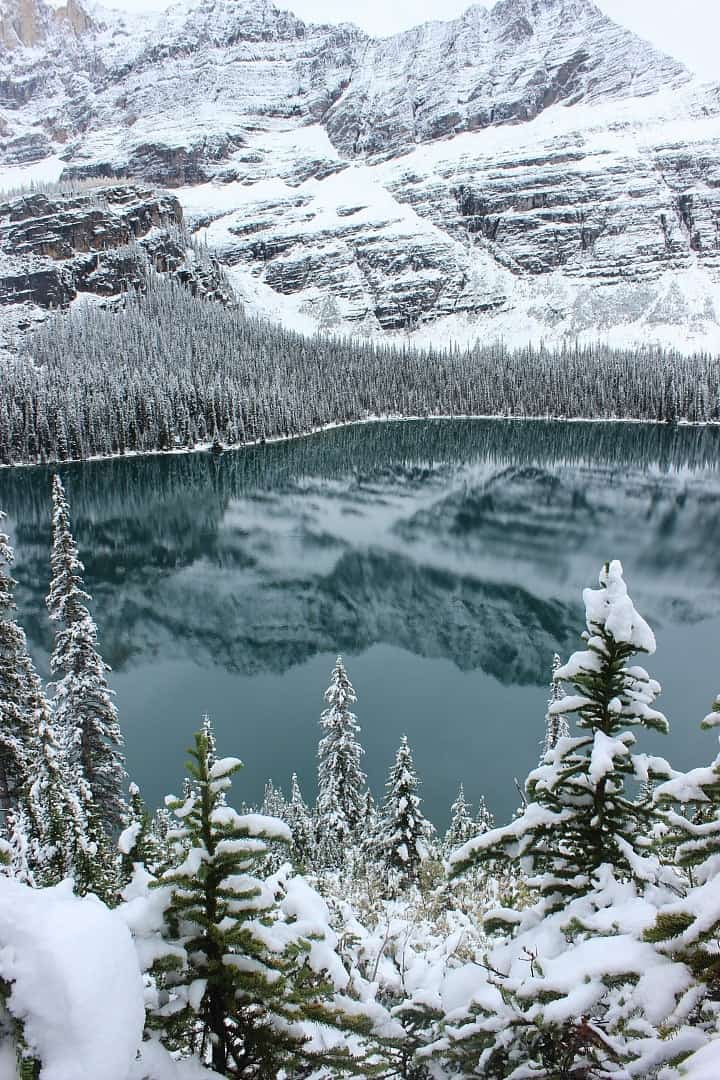 Lake O'hara Yoho National Park