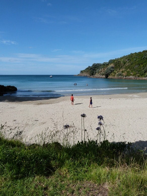 Little Oneroa Beach Locals Guide To Auckland