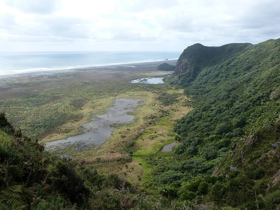 Waitakere Ranges Locals Guide To Auckland