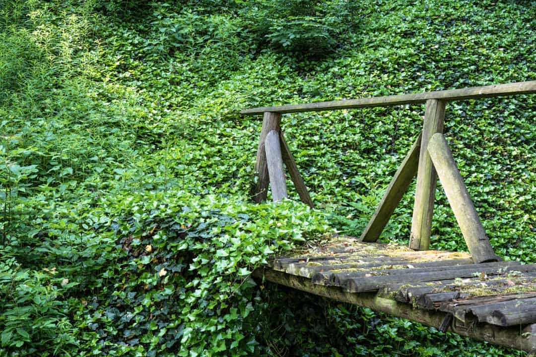 There is to a greater extent than than just drinking beer on this listing of 17 Awesome Things to Do inwards Prague, Czechia (2019 Edition)
