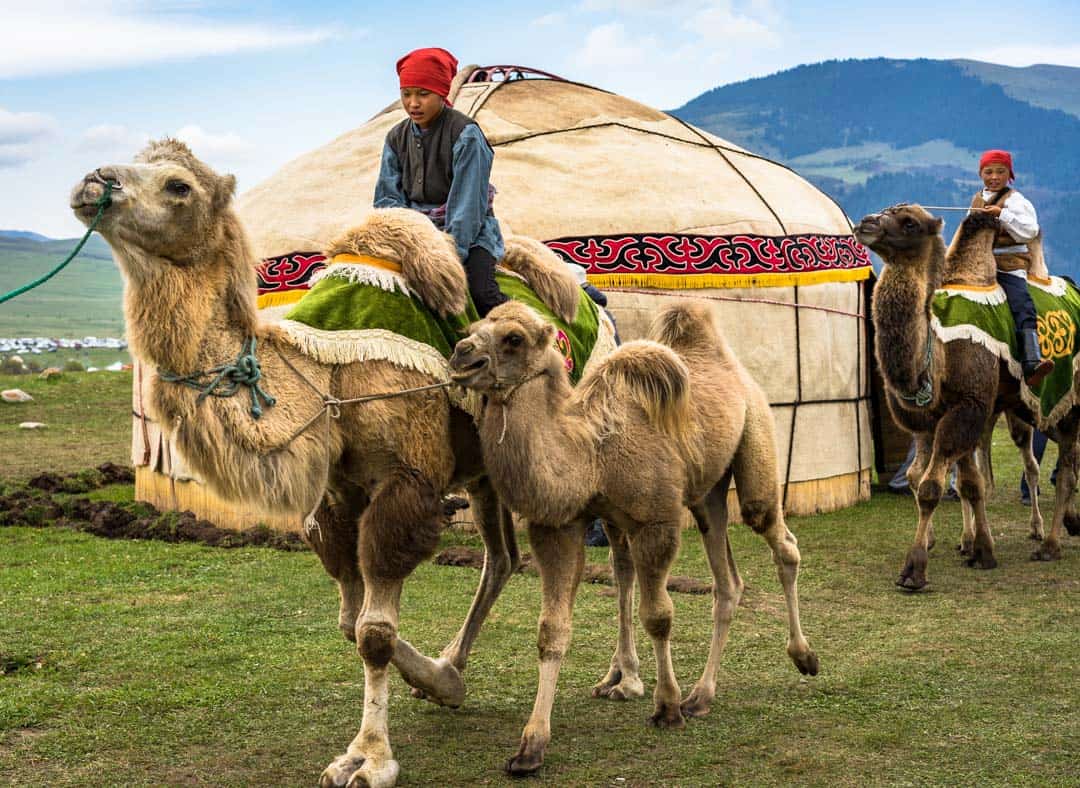 Camels People Of World Nomad Games Kyrgyzstan