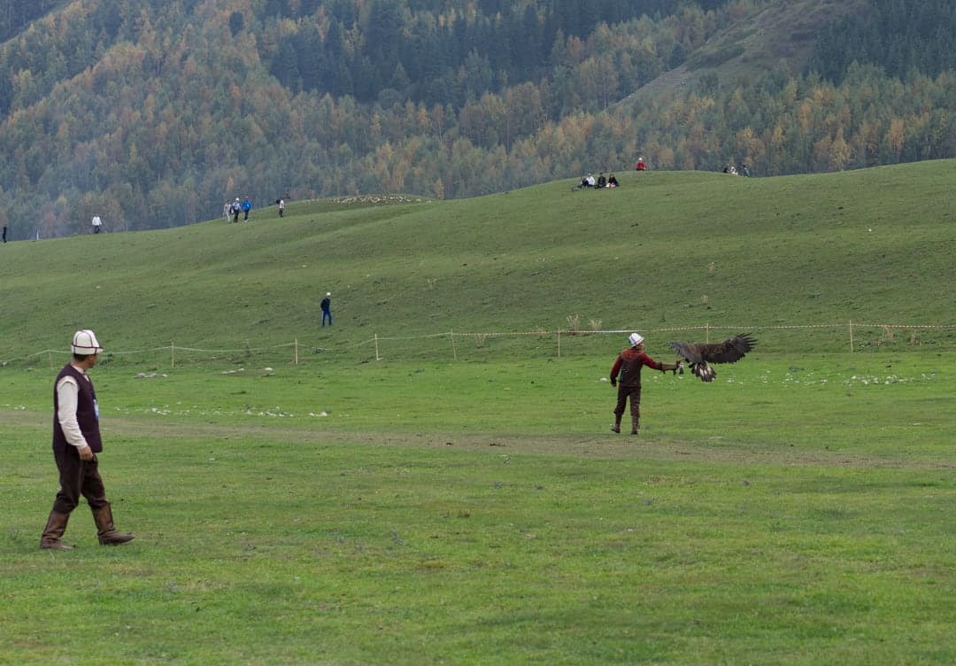 Dissecting lands that bring transformed the shape of the modern basis The Ultimate Guide to the World Nomad Games inwards Kyrgyzstan