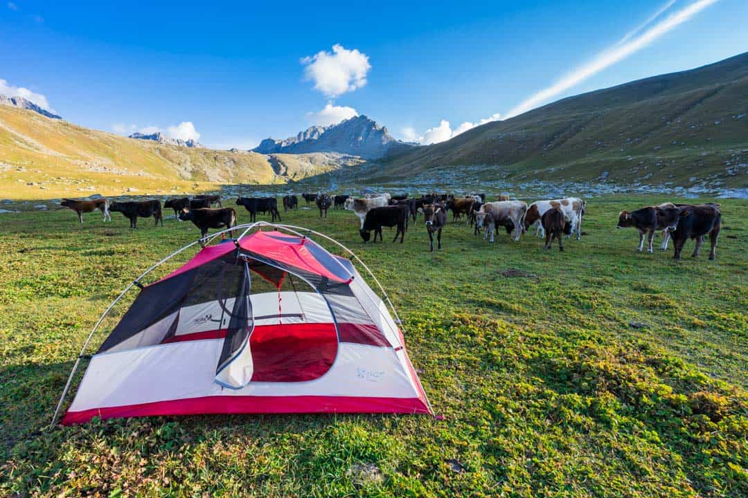 Everything yous require to know most the Jyrgalan trek Breaking Trail On Kyrgyzstan’s New Jyrgalan Trek