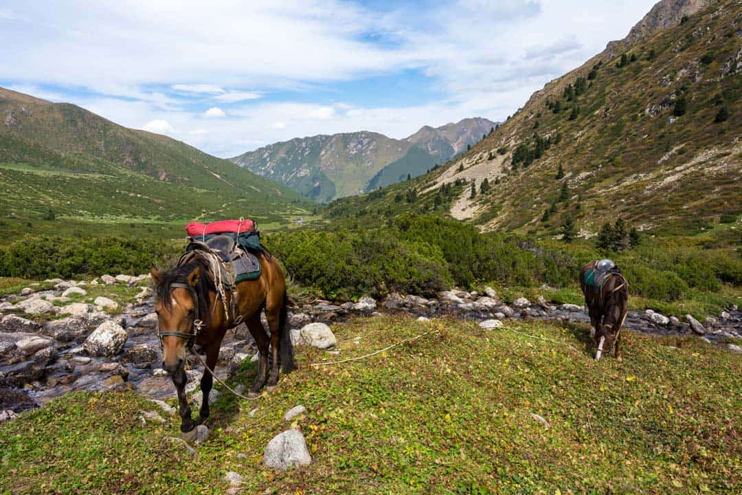 Everything yous require to know most the Jyrgalan trek Breaking Trail On Kyrgyzstan’s New Jyrgalan Trek