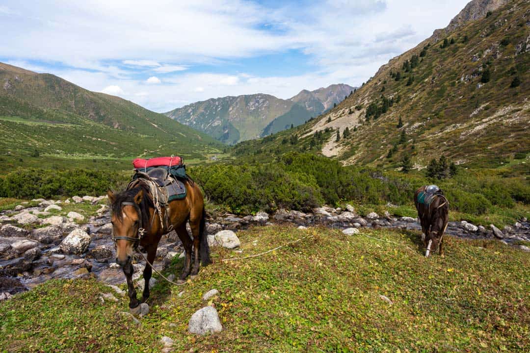 Horses Jyrgalan Trek