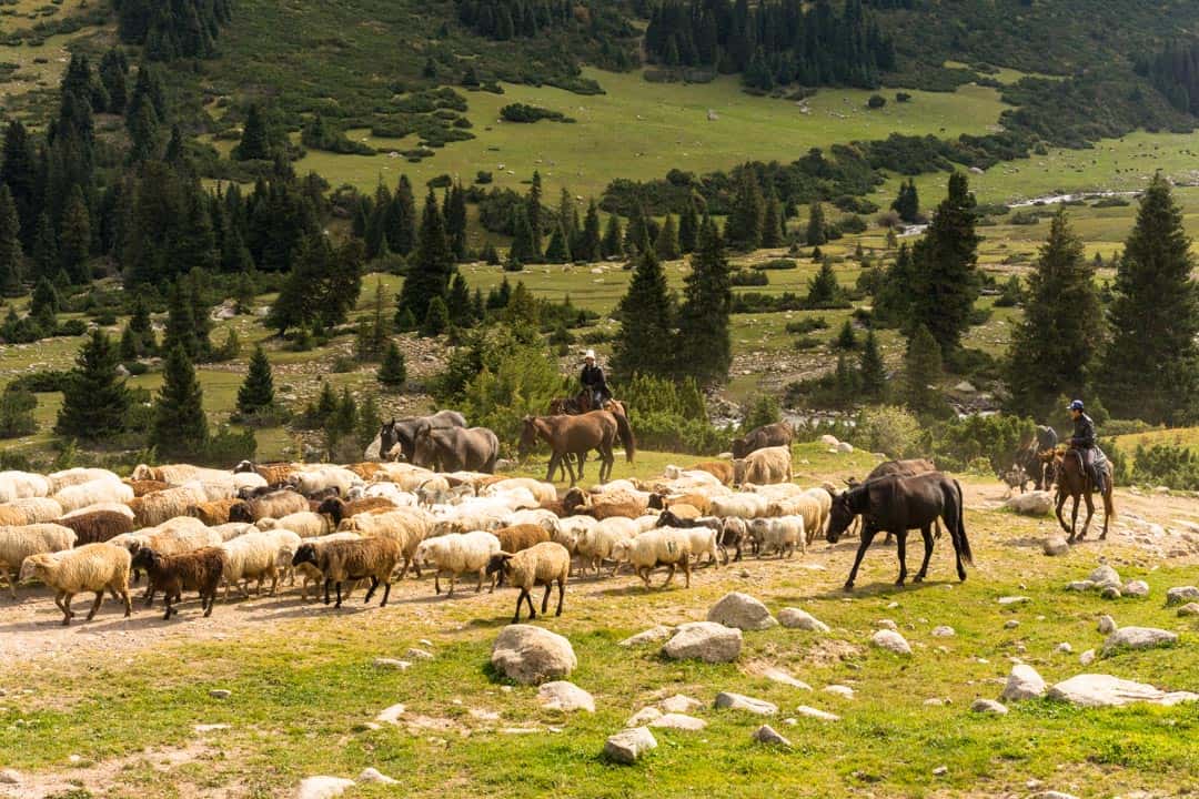 Shepherds Hiking In Jyrgalan