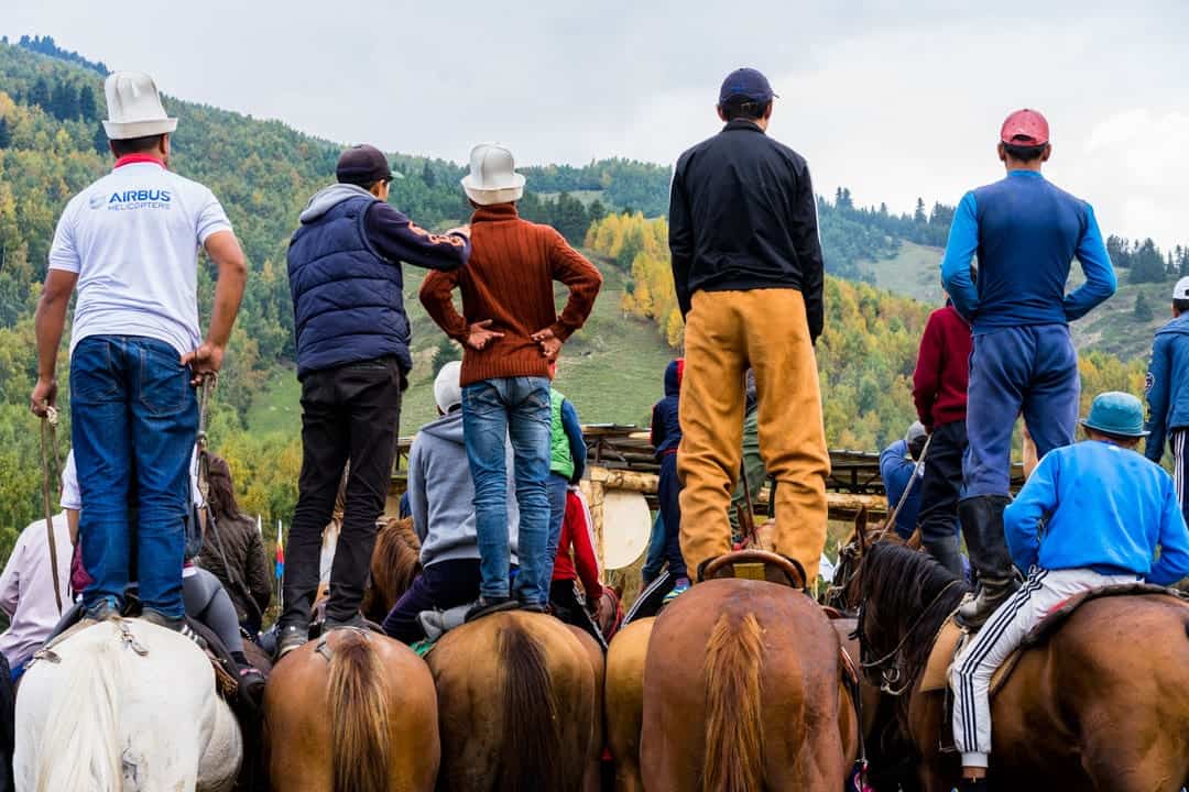 Horses View