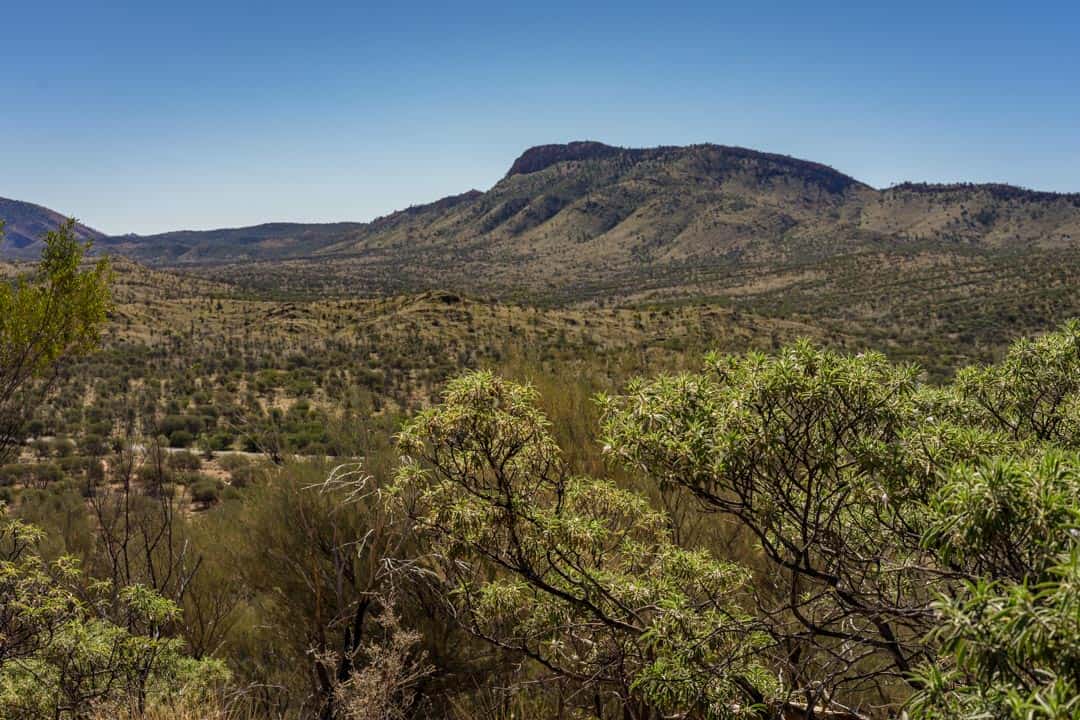 Cassia Hill Walk Simpsons Gap The Ghan Off Train Excursion