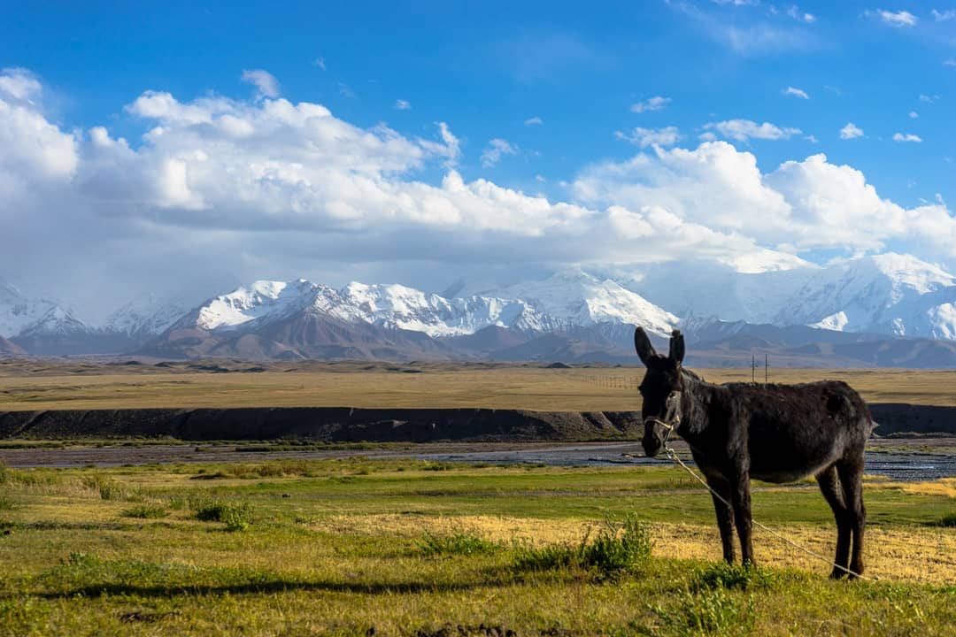 Donkey Mountains Photos Of Kyrgyzstan