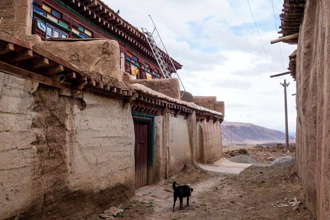 Alleys I Shat Myself In A Tibetan Monastery