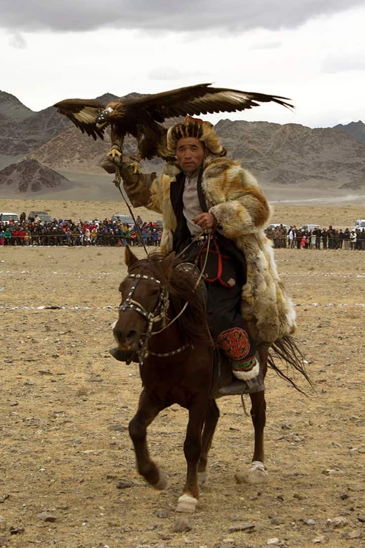 m an adventurous introvert in addition to went to the Golden Eagle Festival inward Olgii Birds Of Prey At Mongolia’s Golden Eagle Festival