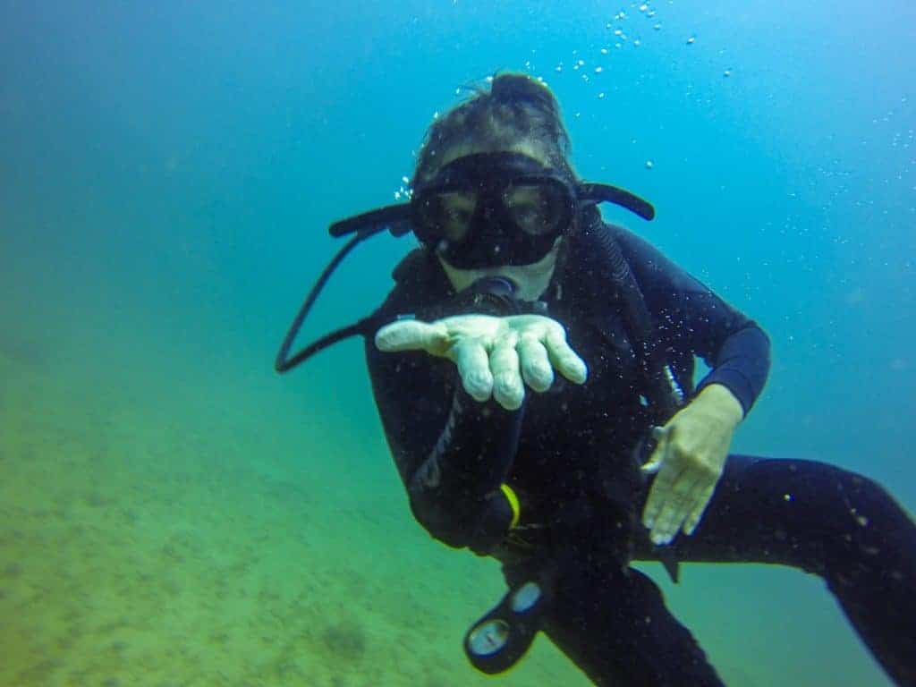 Scuba Diver Make Money Travelling