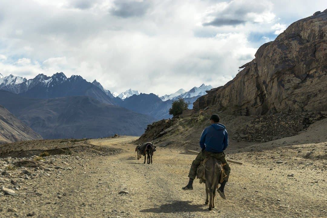 Donkey Pamir Highway Adventure