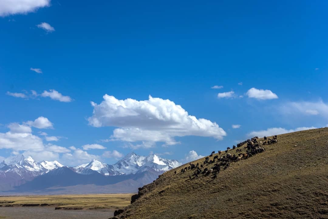 Sary Tash Pamir Highway Adventure