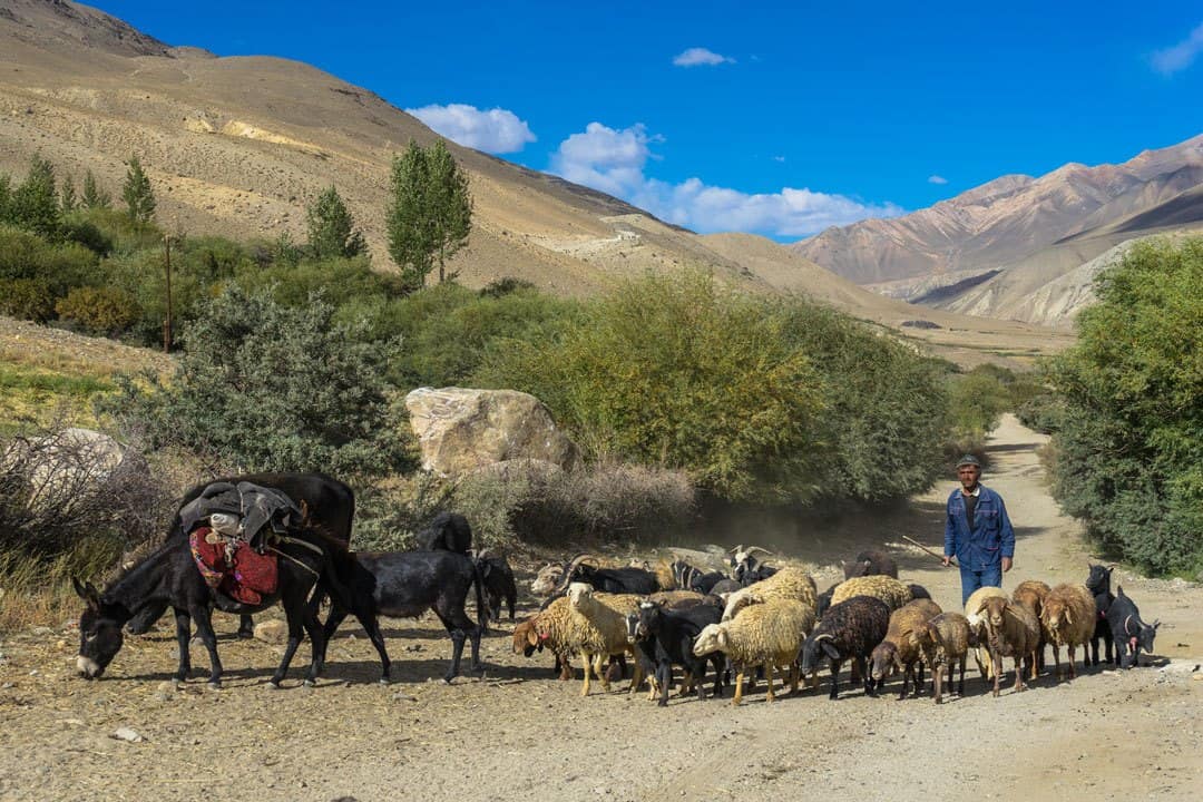 Langar Traffic Jam Pamir Highway Adventure