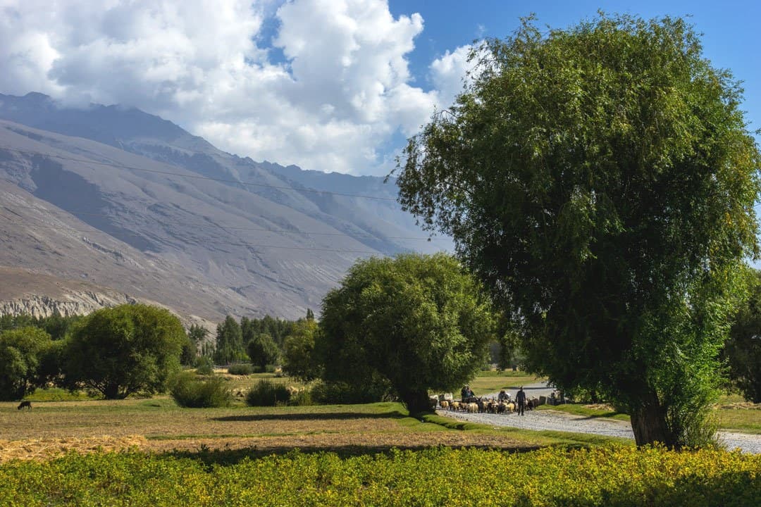 Yamg Pamir Highway Adventure