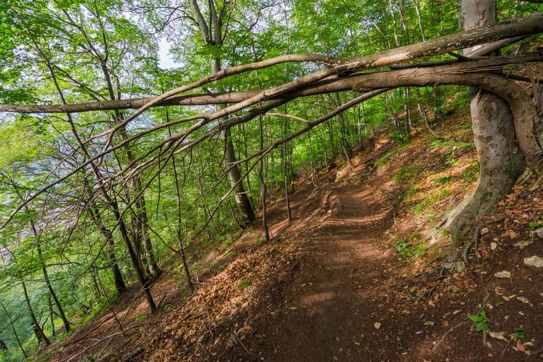 Hiking In Romania Mountain Walk