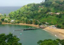 Six Reasons Trinidad And Tobago Should Be The First Caribbean Country You Visit (2023 Guide)