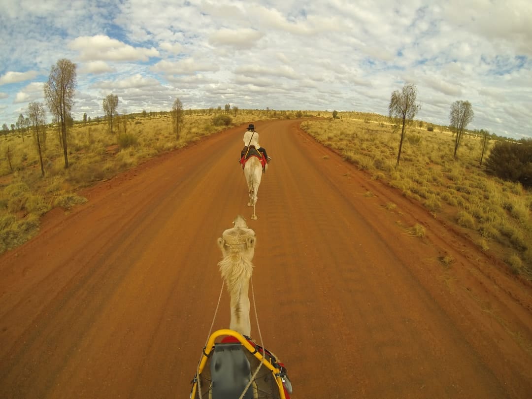 Camels Gopro