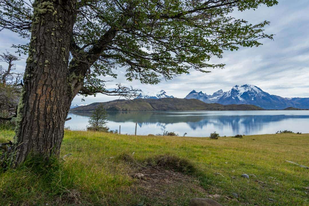 Lazo Weber Torres Del Paine