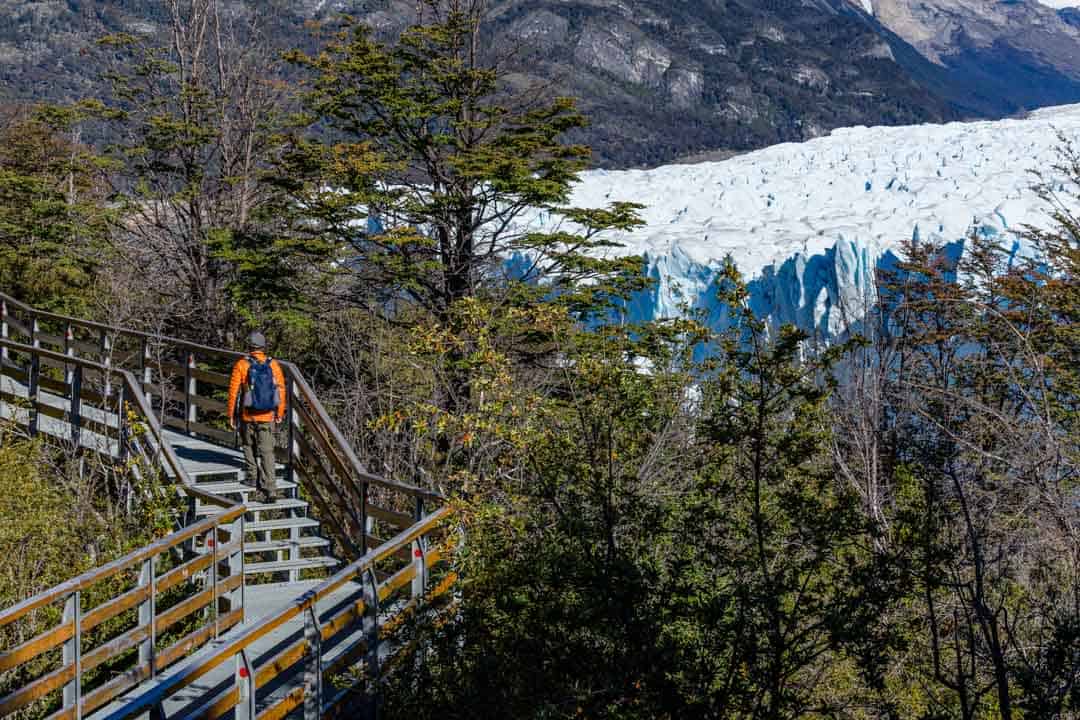 The backpacker inward Puerto Natales was pretty convincing when nosotros asked them what they though H5N1 Complete Guide to Visiting Perito Moreno Glacier inward 2019