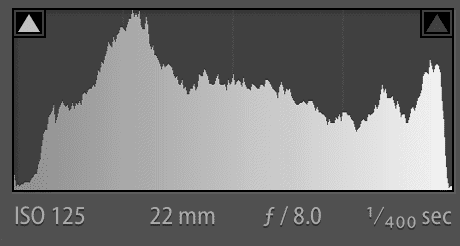 Histogram