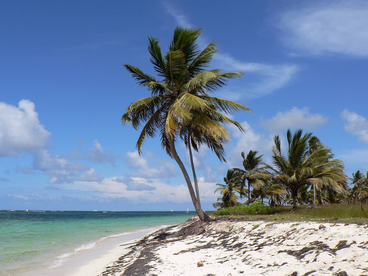 There are in addition to thence many things to produce inward the Dominican Republic v Things To Do In Punta Cana