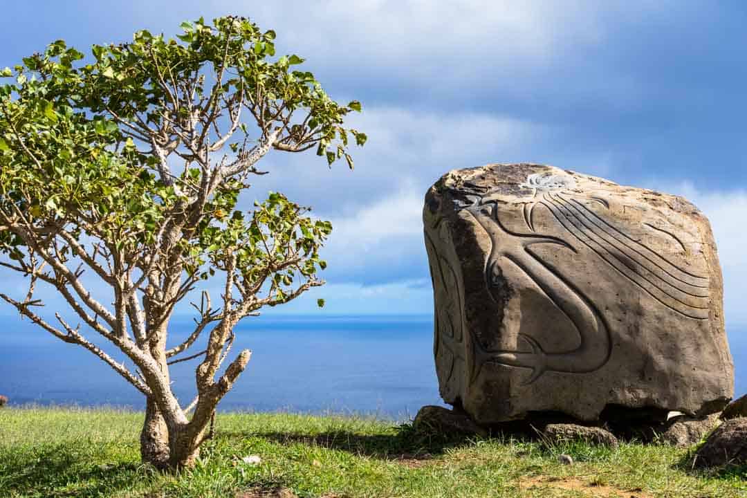 Anthropological Museum Things To Do In Easter Island