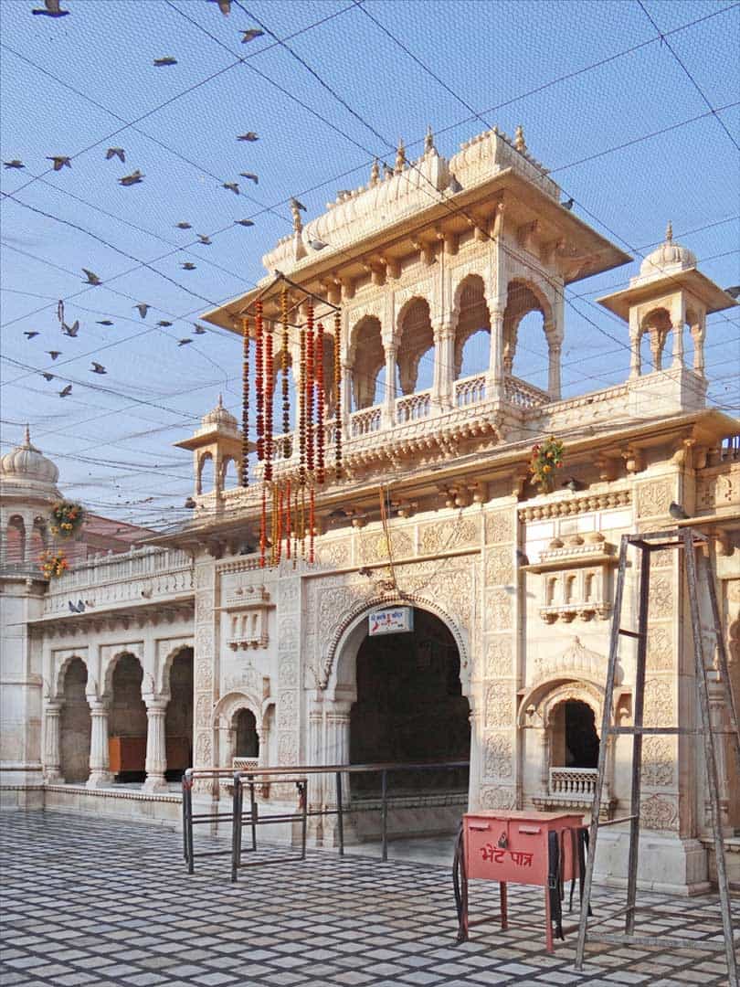 Karni Mata Rat Temple India