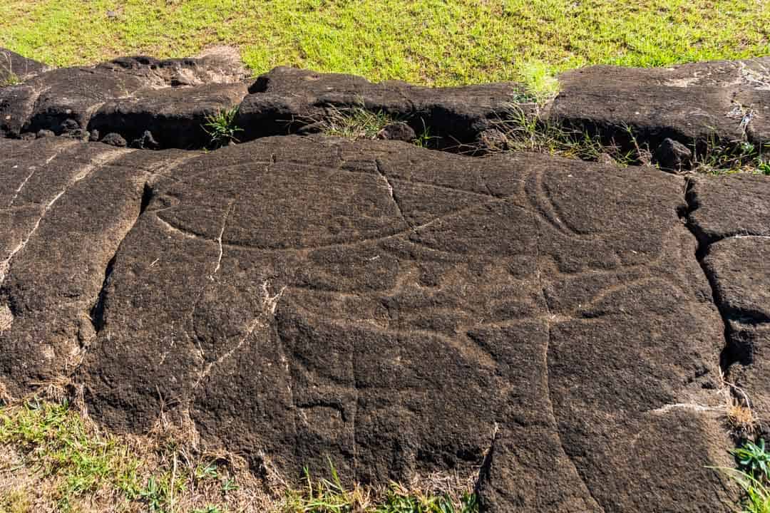 From watching the sunrise over the iconic moai to diving inward crystal clear H2O thirty Awesome Things to Do inward Easter Island (2019 Edition)