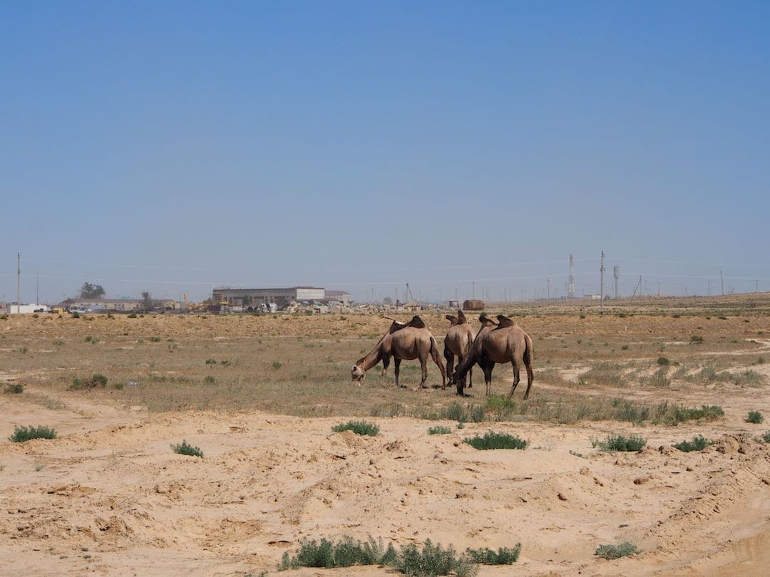 s journeying from London to Mongolia every bit business office of the legendary Mongol Rally The Mongol Rally Diaries – Week 4: Bayneu To Aralsk
