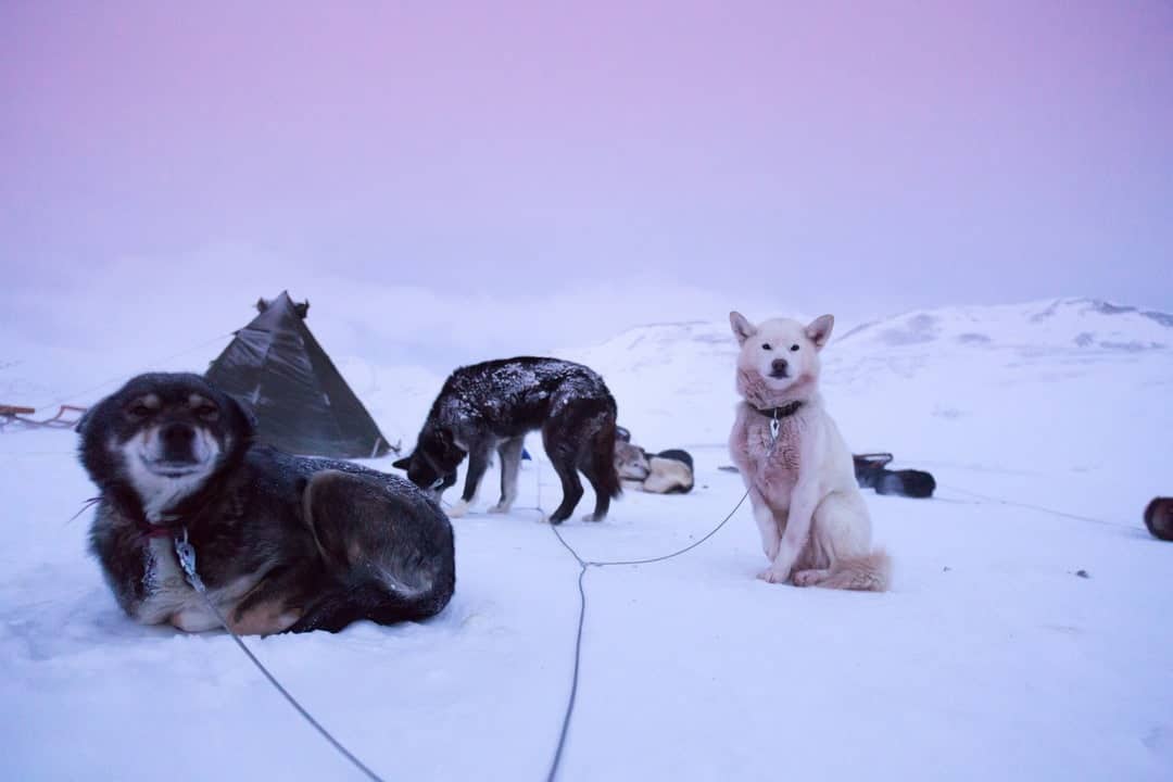 This Is Svalbard In Norway