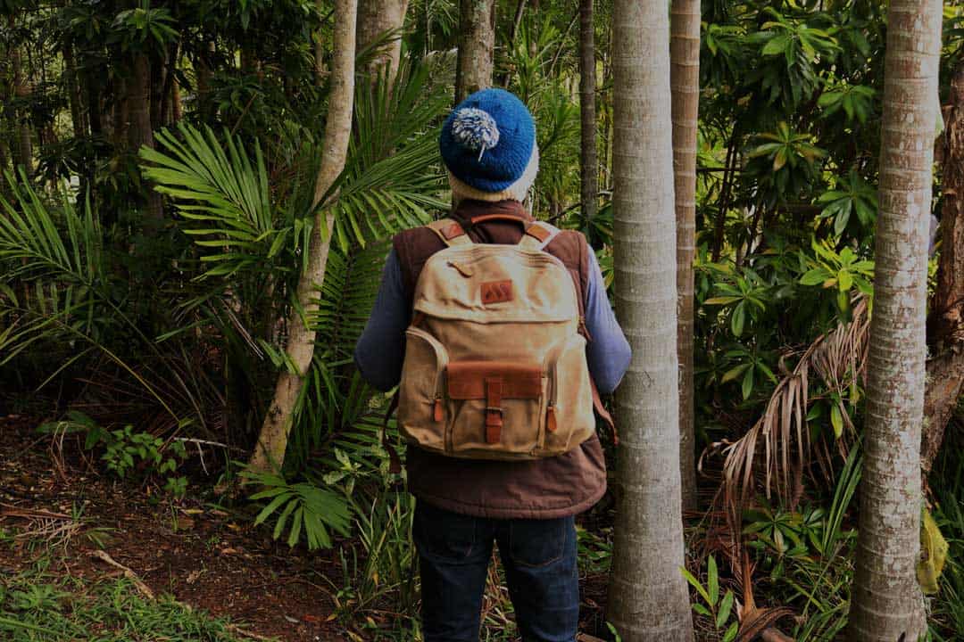 Machir Casual Backpack Collection Review