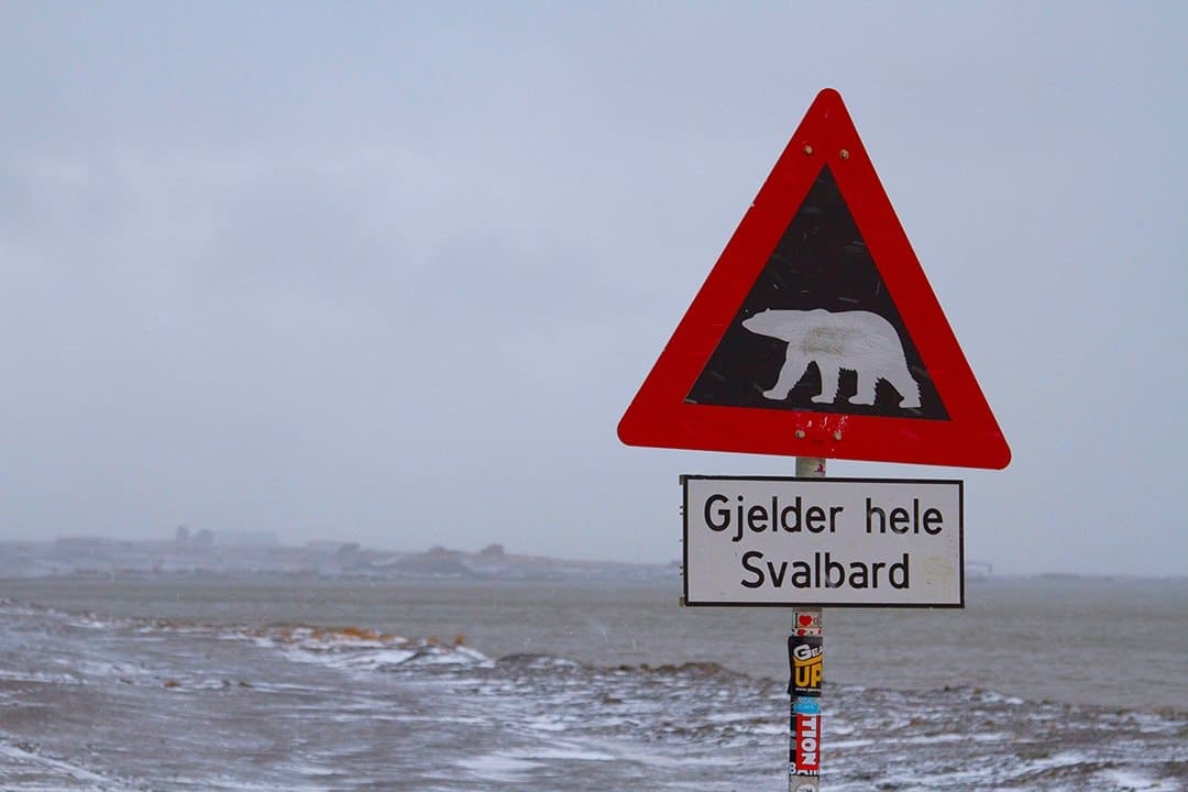 Polar Bear Sign - Adventure Activities In Svalbard