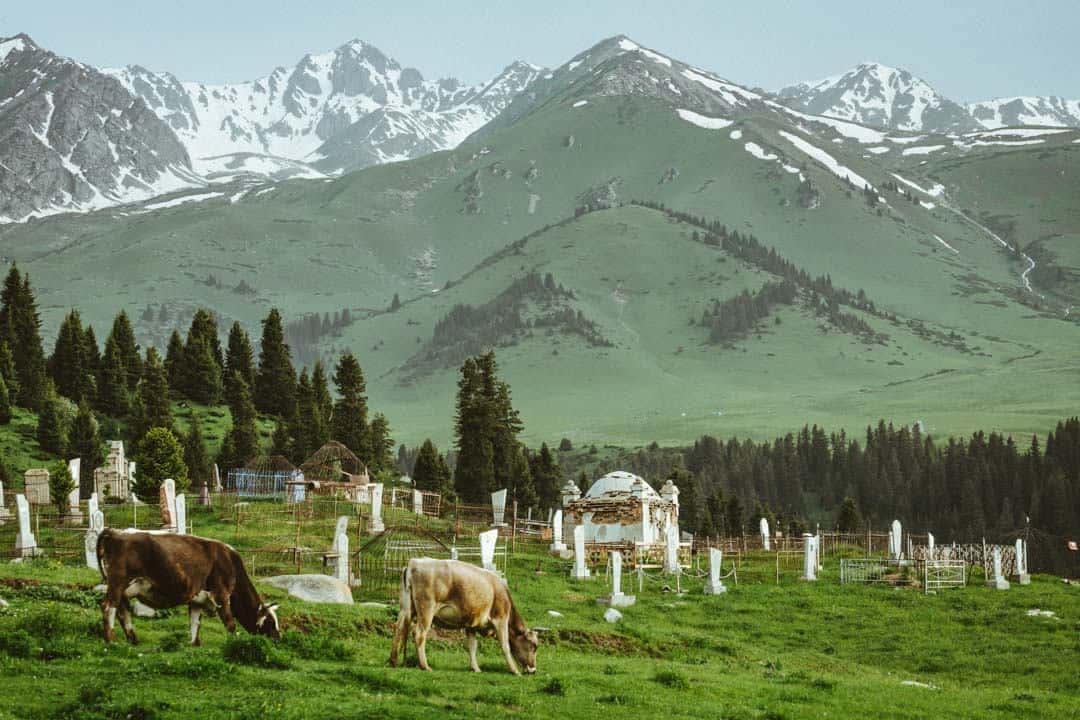 Cemetery Jyrgalan Village Kyrgyzstan