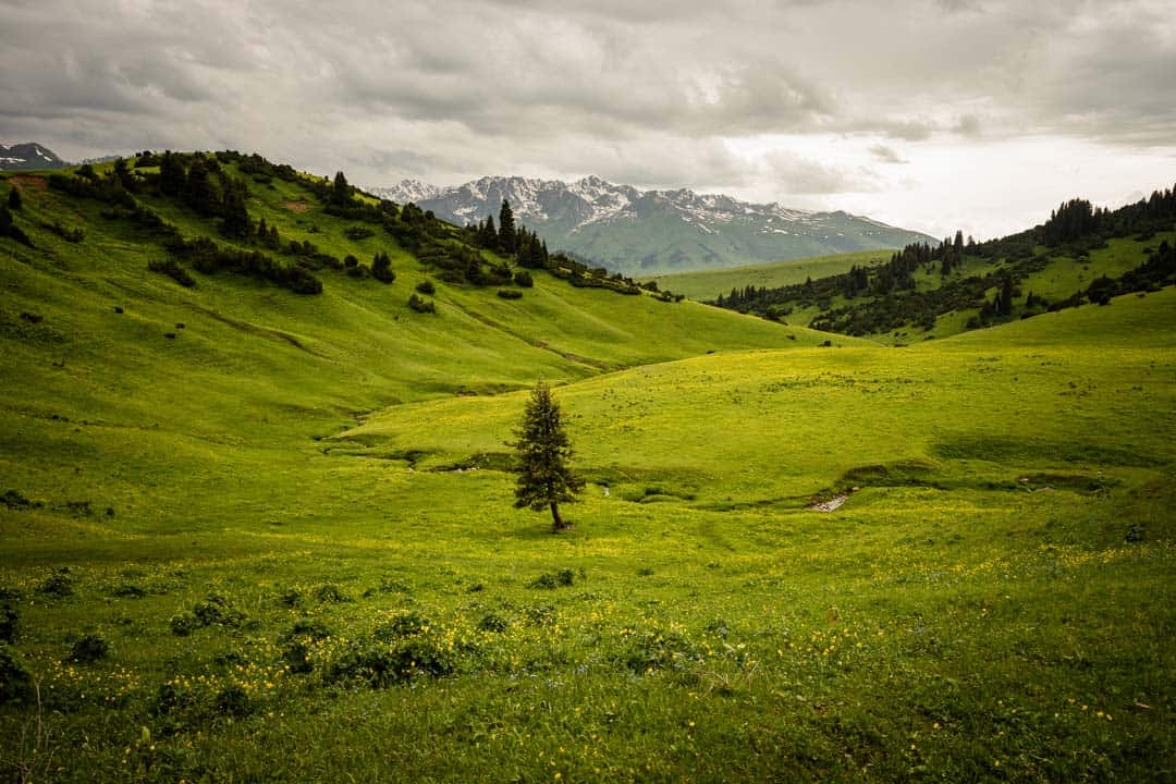 Fields Meadows Keskenkija Loop Jyrgalan Trek