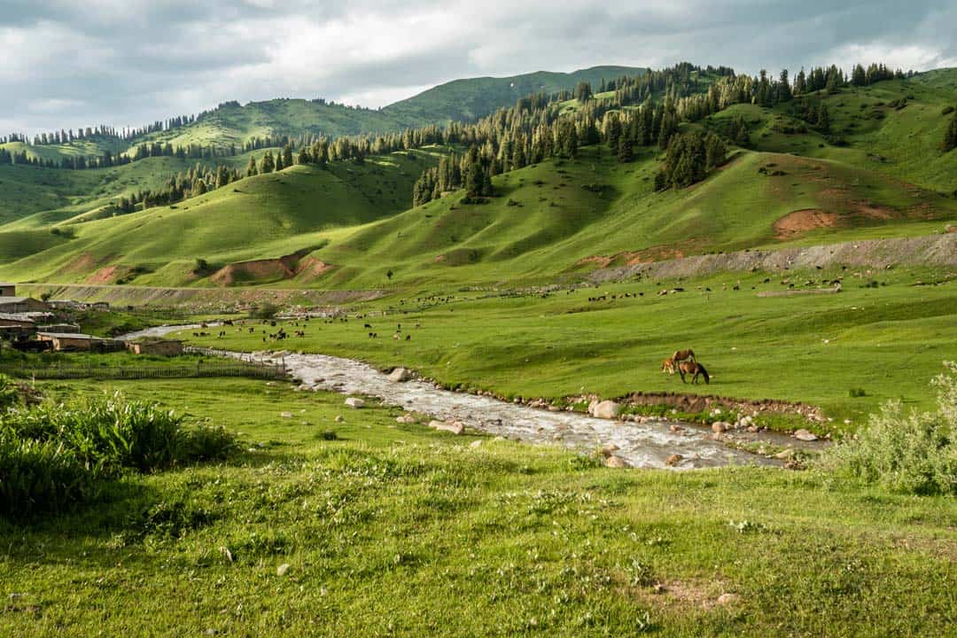 Home Keskenkija Loop Jyrgalan Trek