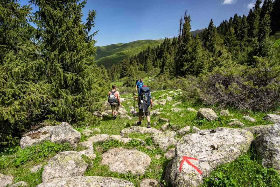 Arrows Forest Keskenkija Loop Jyrgalan Trek