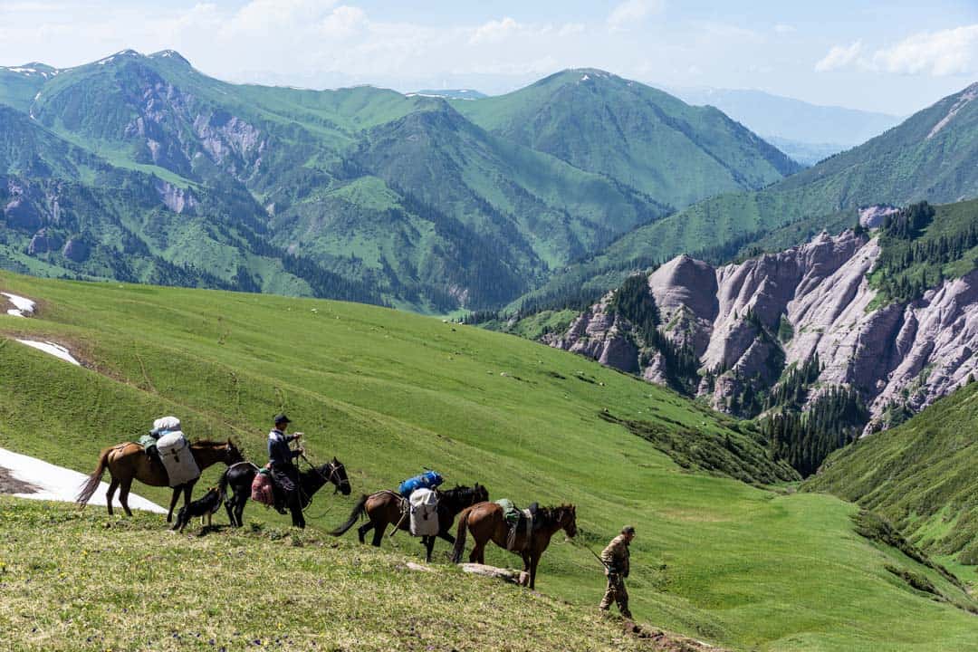 Pack Horses Keskenkija Loop Jyrgalan Trek