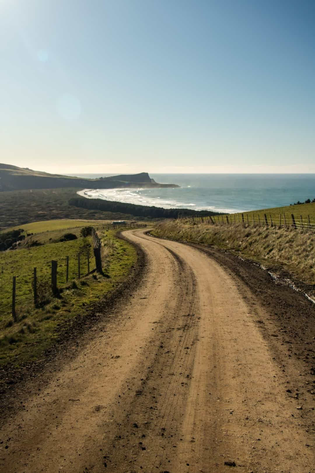 Cape Saunders Adventures Hiking In Otago New Zealand